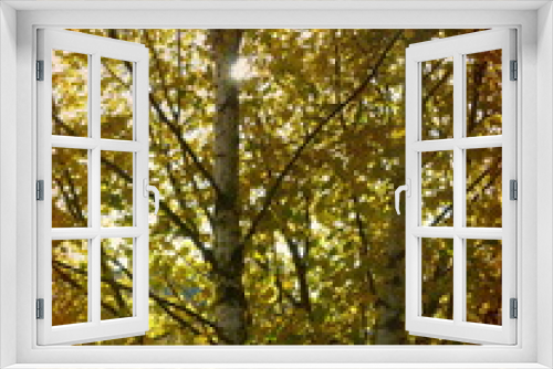 Fototapeta Naklejka Na Ścianę Okno 3D - Herbstliches Blätterdach in voller Sonne