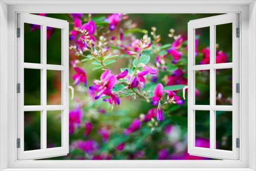 Fototapeta Naklejka Na Ścianę Okno 3D - 桃色の花