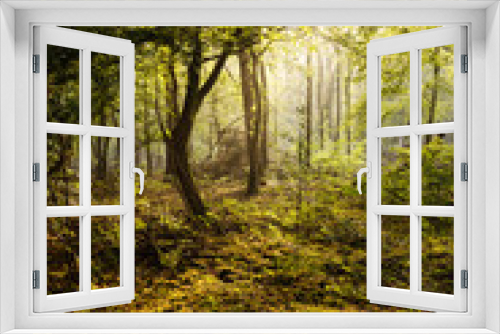 Fototapeta Naklejka Na Ścianę Okno 3D - Wald & Bäume