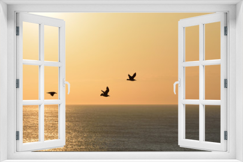 Fototapeta Naklejka Na Ścianę Okno 3D - Sunset gulls