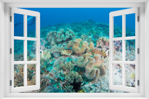 Fototapeta Naklejka Na Ścianę Okno 3D - Scuba dive coral reef. Divers underwater in ocean