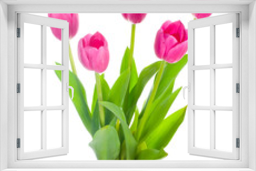 Fototapeta Naklejka Na Ścianę Okno 3D - five pink tulips bouquet