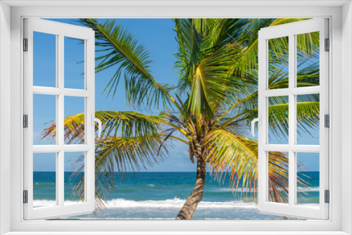 Fototapeta Naklejka Na Ścianę Okno 3D - Coconut palm tree view from the beach