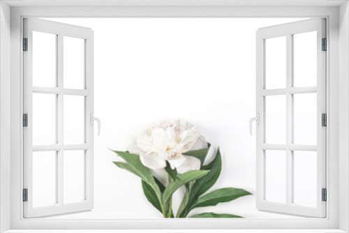 Fototapeta Naklejka Na Ścianę Okno 3D - White peony flower on white background. Top view with copy space. Flat lay.