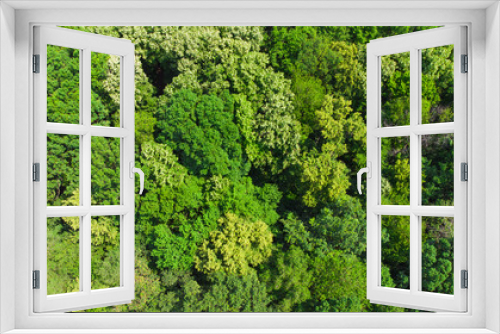 Fototapeta Naklejka Na Ścianę Okno 3D - beautiful green forest, aerial view