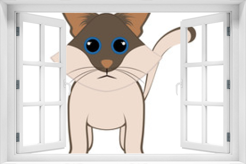 Fototapeta Naklejka Na Ścianę Okno 3D - Isolated cute cat