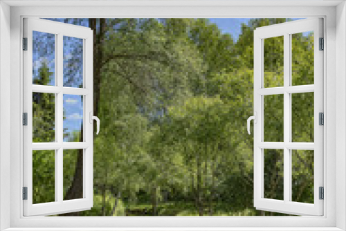 Fototapeta Naklejka Na Ścianę Okno 3D - Forest footpath
