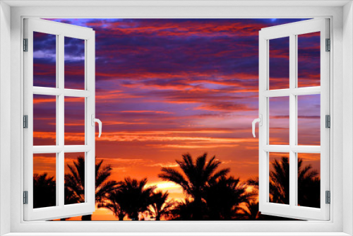 Fototapeta Naklejka Na Ścianę Okno 3D - Palm trees at sunset