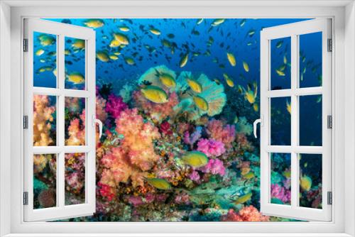 Fototapeta Naklejka Na Ścianę Okno 3D - Colorful tropical fish swim around a healthy, thriving coral reef