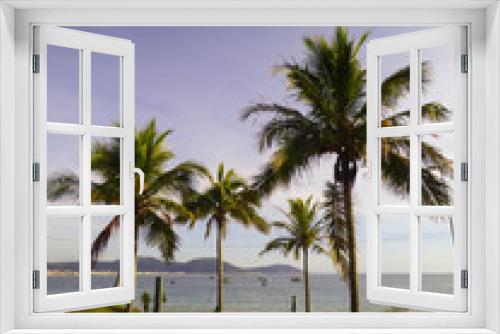 Fototapeta Naklejka Na Ścianę Okno 3D - Palm trees at Ingleses Beach, Florianopolis - Brazil