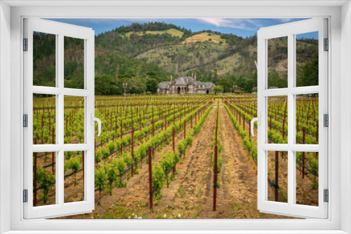 Fototapeta Naklejka Na Ścianę Okno 3D - Napa Valley Vineyards