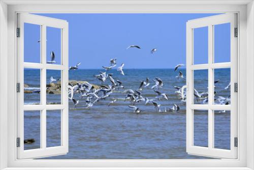 Fototapeta Naklejka Na Ścianę Okno 3D - Seagulls fly in free
