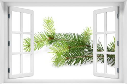Fototapeta Naklejka Na Ścianę Okno 3D - Pine branch, decoration isolated on white background