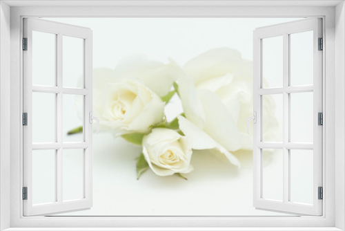 Fototapeta Naklejka Na Ścianę Okno 3D - White Rose