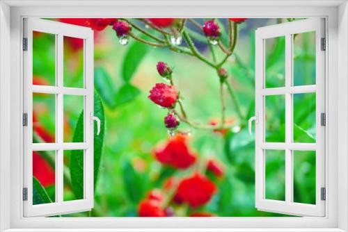 Fototapeta Naklejka Na Ścianę Okno 3D - red berries of wild strawberry