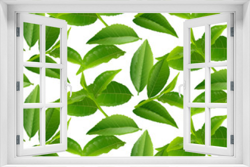 Fototapeta Naklejka Na Ścianę Okno 3D - Green tea leaves seamless vector nature background.