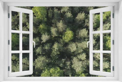 Fototapeta Naklejka Na Ścianę Okno 3D - Aerial flight over mixed forest on a sunny summer day