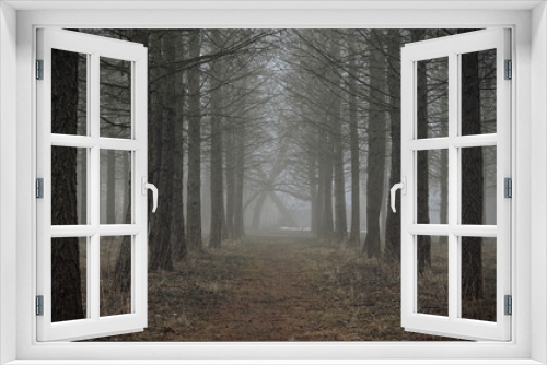 Fototapeta Naklejka Na Ścianę Okno 3D - Fog
