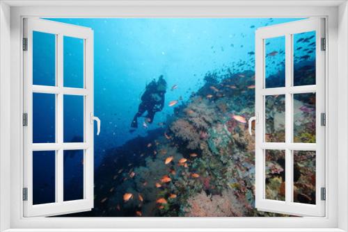 Fototapeta Naklejka Na Ścianę Okno 3D - Female Scuba Diver and Colorful reef fish blue ocean and bright coral underwater