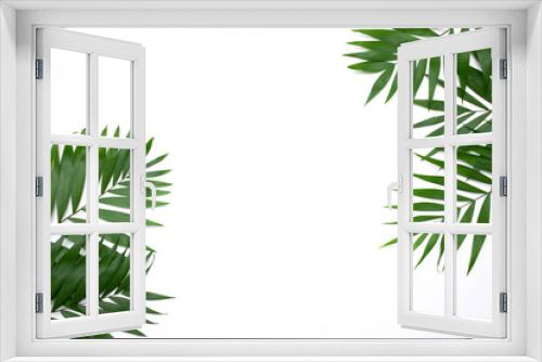 Fototapeta Naklejka Na Ścianę Okno 3D - Green palm leafs isolated on white background