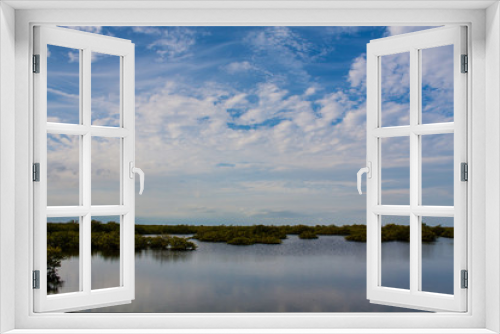 Fototapeta Naklejka Na Ścianę Okno 3D - Florida wetlands 