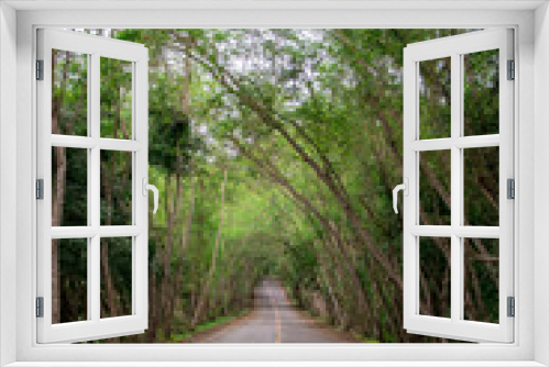 Fototapeta Naklejka Na Ścianę Okno 3D - Beautiful a path through  green tree .Road in the forest.
