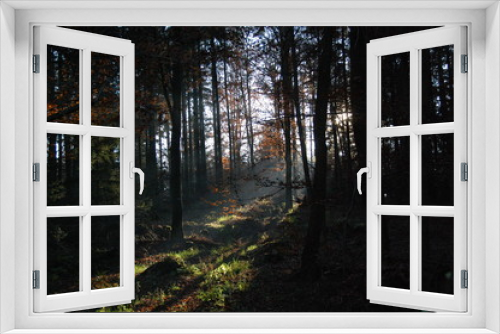 Fototapeta Naklejka Na Ścianę Okno 3D - Licht und Schatten - Herbstimpressionen
