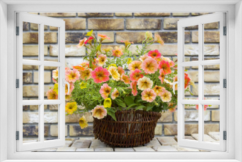 Fototapeta Naklejka Na Ścianę Okno 3D - basket with petunias (Petunia hybrida) flowers