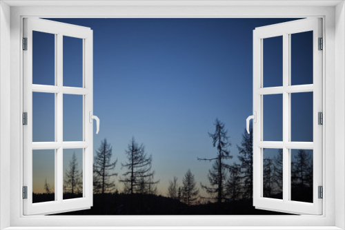 Fototapeta Naklejka Na Ścianę Okno 3D - Trees and blue sky