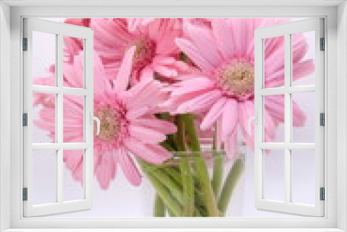 Fototapeta Naklejka Na Ścianę Okno 3D - pink gerbera flowers closeup on white background