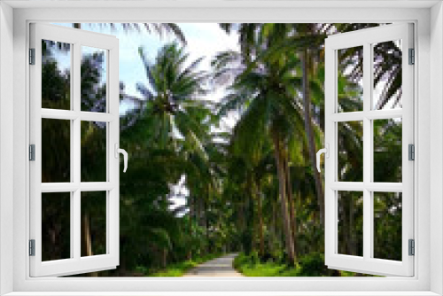 Fototapeta Naklejka Na Ścianę Okno 3D - The concept of serenity of the countryside. Empty concreate road, which is the entrance to the rural village in Thailand. The two sides of the road filled with coconut trees amidst green lawn.