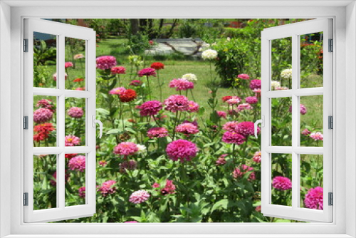 Fototapeta Naklejka Na Ścianę Okno 3D - The beautiful flowers