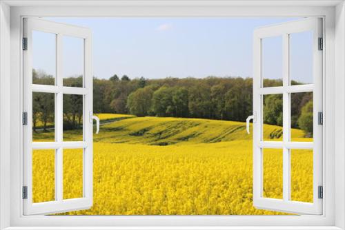Fototapeta Naklejka Na Ścianę Okno 3D - Gelbe Frühlingspracht