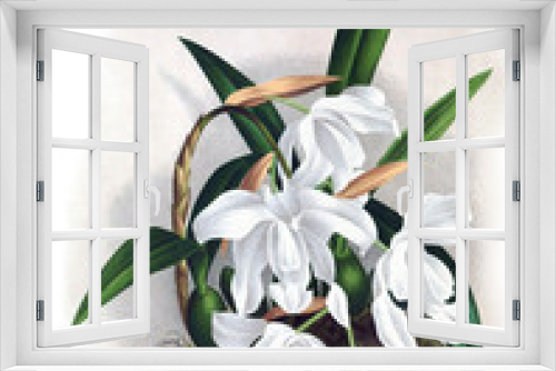 Fototapeta Naklejka Na Ścianę Okno 3D - Illustration of orchid