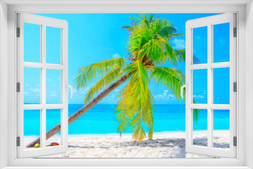 Fototapeta Naklejka Na Ścianę Okno 3D - Dream palm on the beach