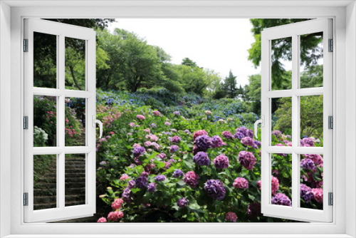 Fototapeta Naklejka Na Ścianę Okno 3D - 紫陽花の風景