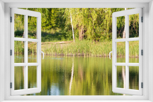 Fototapeta Naklejka Na Ścianę Okno 3D - trees reflected in water