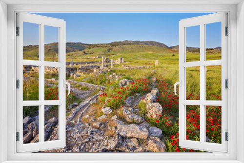 Fototapeta Naklejka Na Ścianę Okno 3D - Ruins of the ancient city of Hierapolis and red poppies, Pamukkale