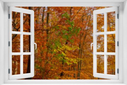 Fototapeta Naklejka Na Ścianę Okno 3D - Straße durch den farbigen Herbstwald