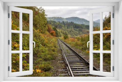 Fototapeta Naklejka Na Ścianę Okno 3D - railway in the forest