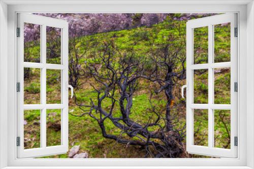 Fototapeta Naklejka Na Ścianę Okno 3D - Wild nature at Gleninchaquin Park in Ireland