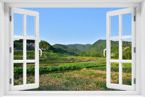 Fototapeta Naklejka Na Ścianę Okno 3D - Terraced paddy field in Japan	