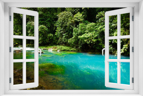 Fototapeta Naklejka Na Ścianę Okno 3D - emerald green rio celeste river at Tenorio national Park, Alajuela, Costa Rica