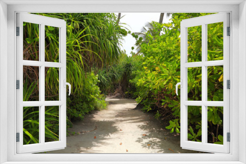 Fototapeta Naklejka Na Ścianę Okno 3D - View of white sand pathway in green tropical jungle. Green palm trees and green plants on grey sky background.