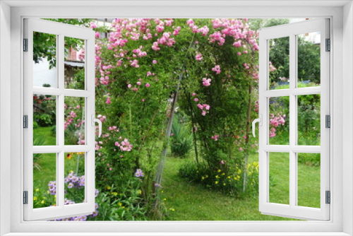 Fototapeta Naklejka Na Ścianę Okno 3D - Pink