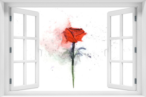 Fototapeta Naklejka Na Ścianę Okno 3D - watercolor painting illustration red flower rose abstract. isolated on a white background . hand drawn. 