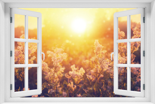 Fototapeta Naklejka Na Ścianę Okno 3D - Summer scene. Bright summer landscape with meadowsweet in the rays of the setting sun.