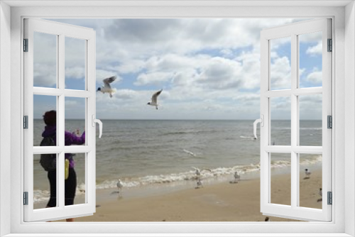 Fototapeta Naklejka Na Ścianę Okno 3D - möwen am strand