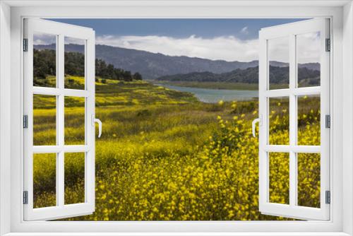 Fototapeta Naklejka Na Ścianę Okno 3D - MAY 14, 2018, Ojai, CA, USA - Yellow mustard grows where Lake Casitas used to be - DROUGHT
