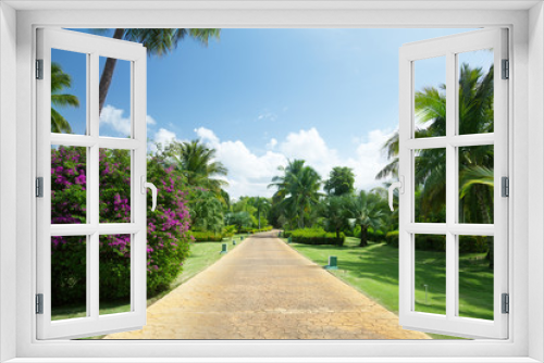 Fototapeta Naklejka Na Ścianę Okno 3D - road in tropical garden
